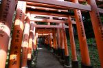 20180516-D7K_8364 (Japan 2018 Day 14: Kyoto)
