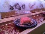 20180516-IMG_1549 (Japan 2018 Day 14: Kyoto)