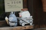 20180518-D7K_8959 (Japan 2018 Day 16: Takayama/Shirakawa-go)