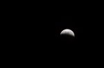 20190121-D7K_0933 (Super Blood Wolf Moon)