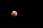 20190121-D7K_0940 (Super Blood Wolf Moon)